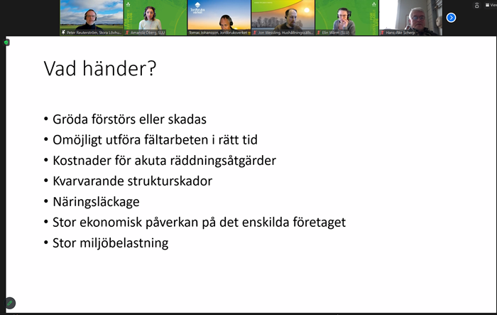 skärmdump som visar presetnation där konskevenser av översvämning på åkermark listas.
