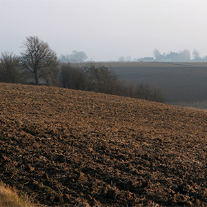åkermark och träd.