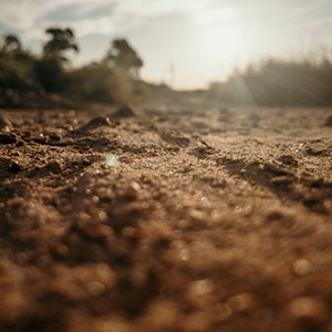 bare soil in sunlight