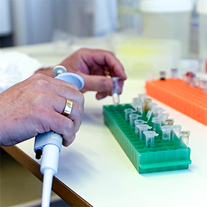 En hand håller i en pipett i labbmiljö. Foto.