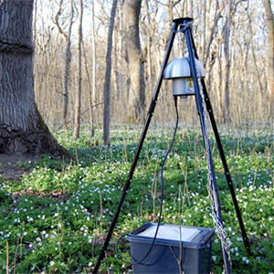 A white structure on a stand located on a forest floor with white flowers.. Photo.