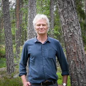 En man i blå skjorta står i en tallskog. Foto.