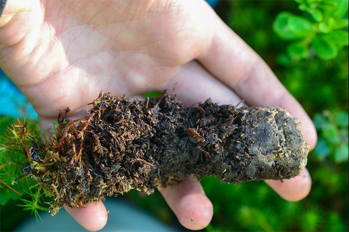A hand is holding a cylinger shaped soil sample. Photo.