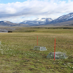 Experimentuppställning i fjällmiljö. Foto.