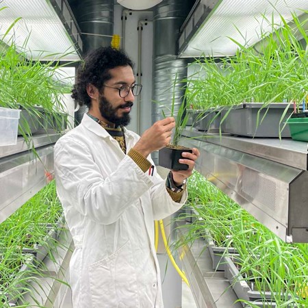 A man in a white lab coat by green plants. Photo.