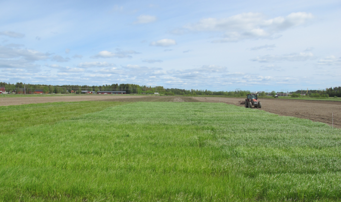 Foto över fältstationen Röbäcksdalen. Foto.