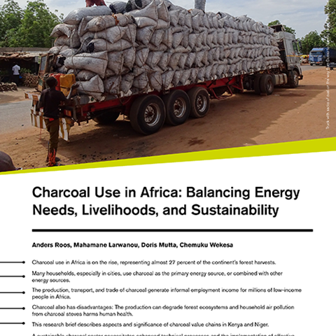 Front page of the Fact Sheet, truck with charcoal in Niger