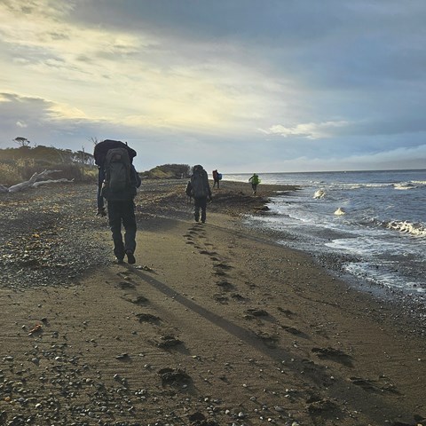Vandring längs stranden vid Punta Arenas