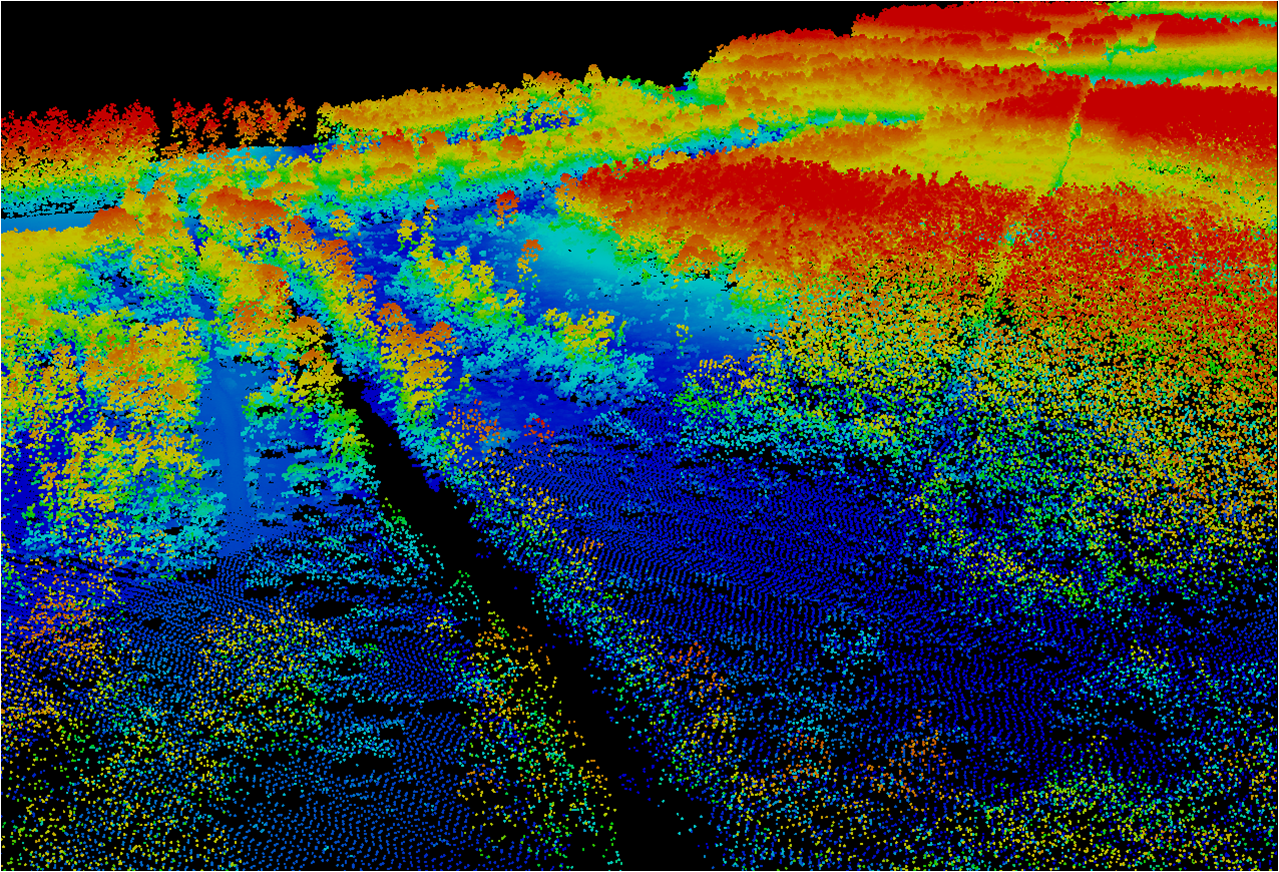 Forest landscape colored after height. Image.