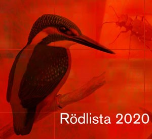Rödlistan 2020