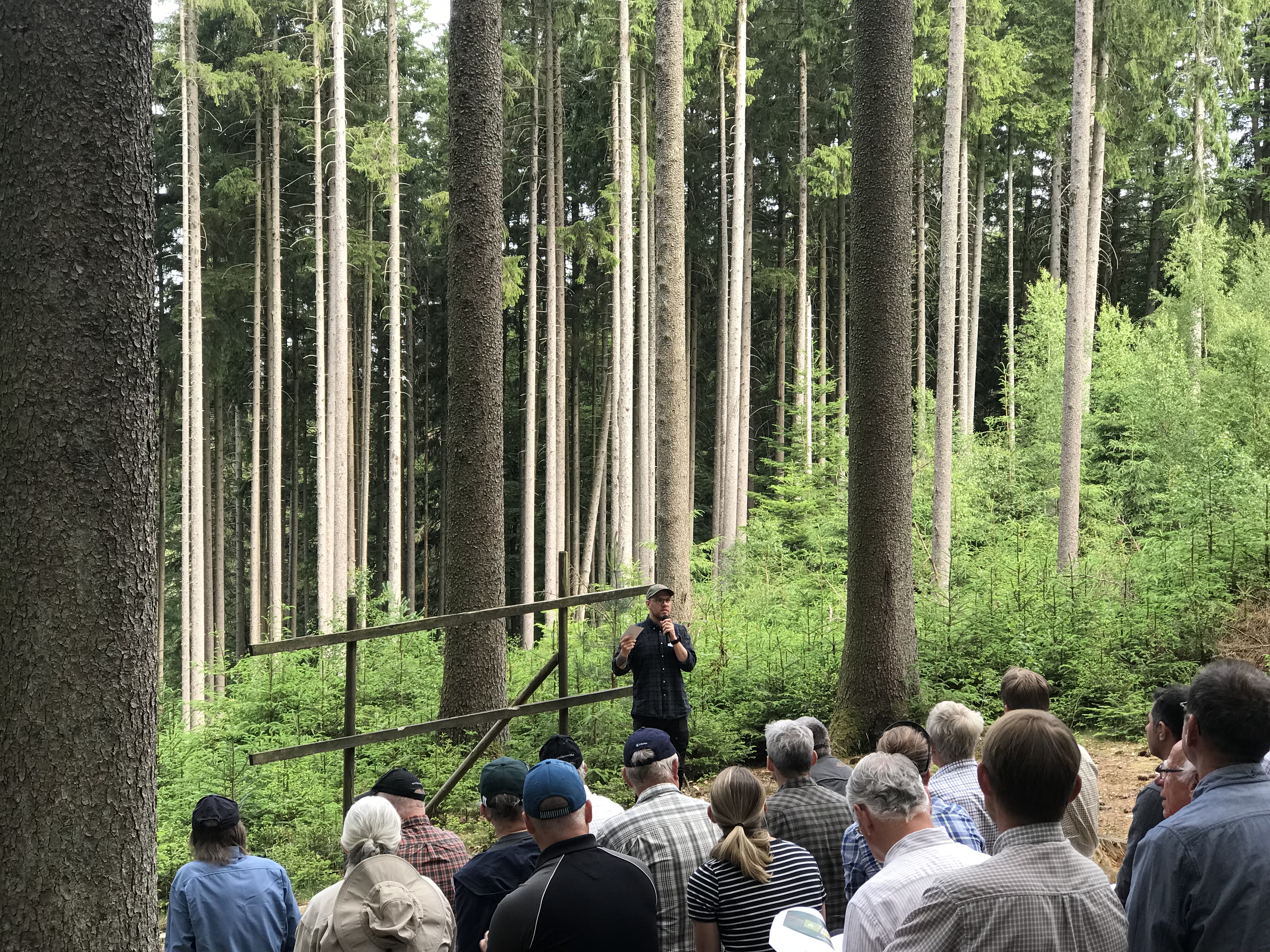 Person står framför publik i hög granskog. Foto.