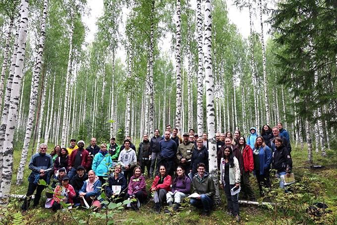 Group of people in birch forest. Photo.