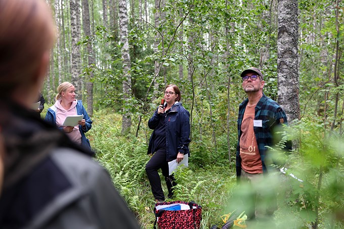 Man and woman talk to people in birch forest. Photo.