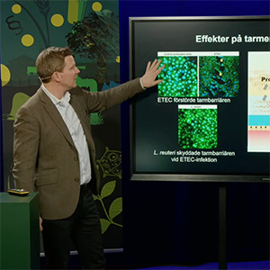 Bild från Johan Dicksveds installationsföreläsning. Foto.