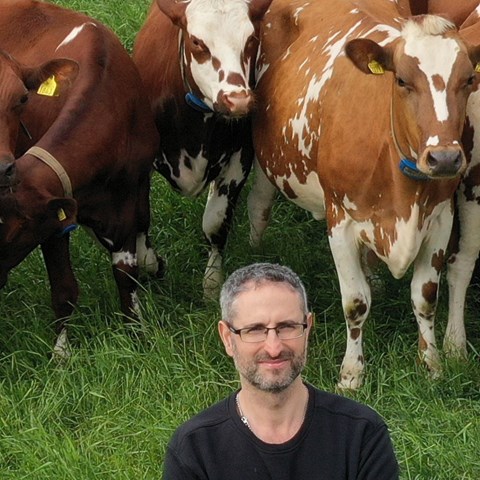 Mohammad Ramin stands in front of a pasture with dairy cows. Photo.