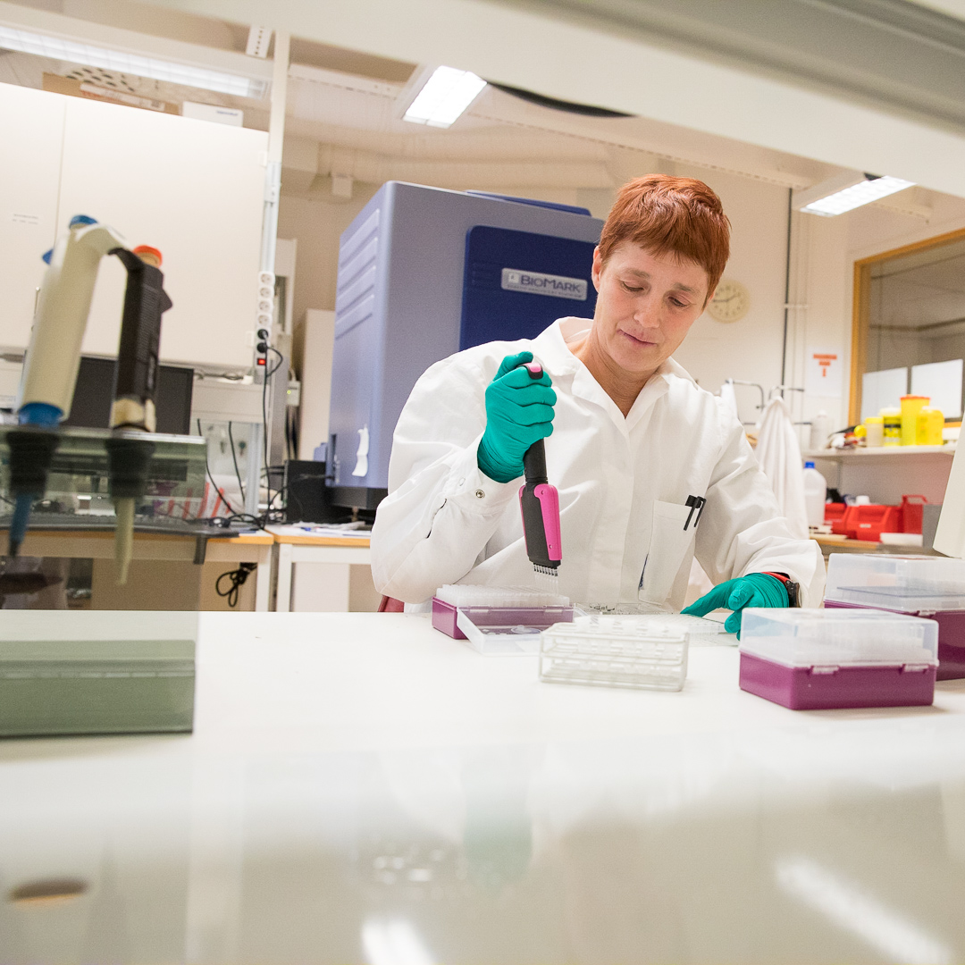 Helena Königsson arbetar i labbet. Foto.