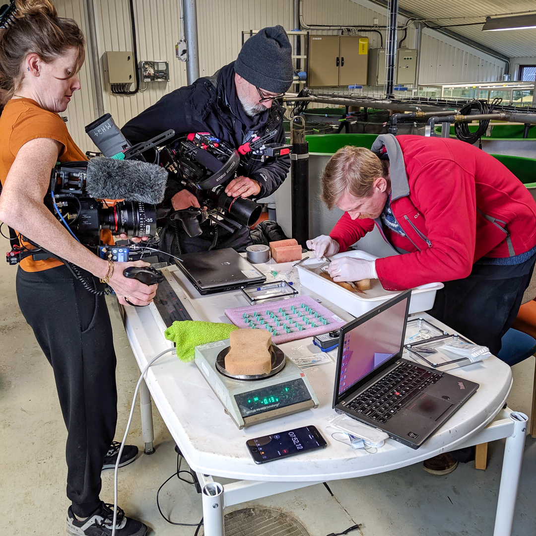 Två personer filmar en person som jobbar koncentrerat med något vid ett stökigt bord. Foto.