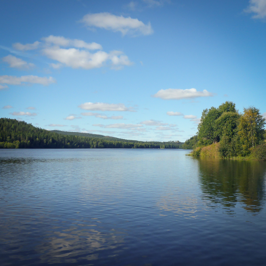 Vattendrag med grönskande träd längs sidorna.