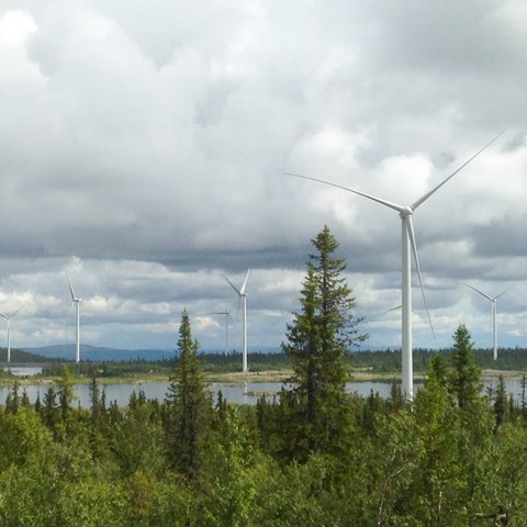Vindkraftverk i skogslandskap.