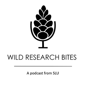 Logga för podcasten Wild research bites. Illustration.