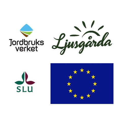 Partners of The Legume Factory