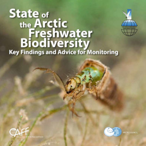 Omslag till en rapport.