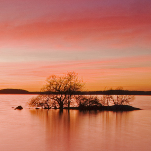 Solnedgång över en sjö. Himlen är röd. Foto.
