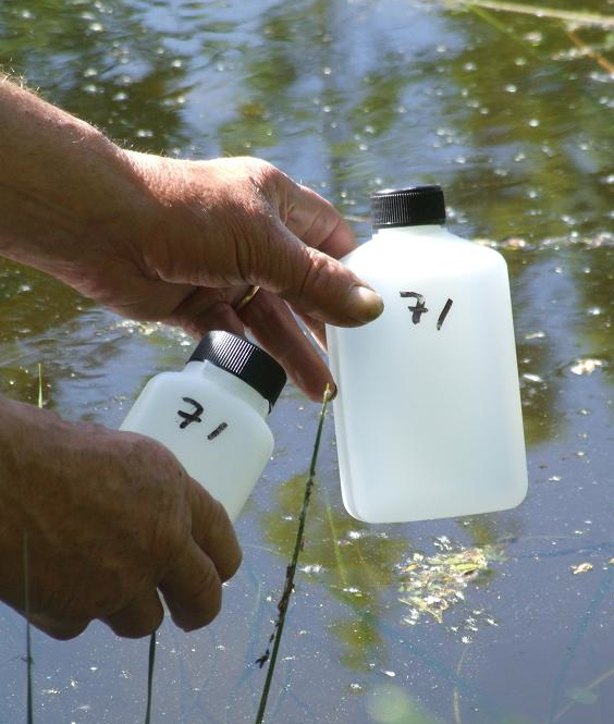 Flaskor för vattenprovtagning. Foto.