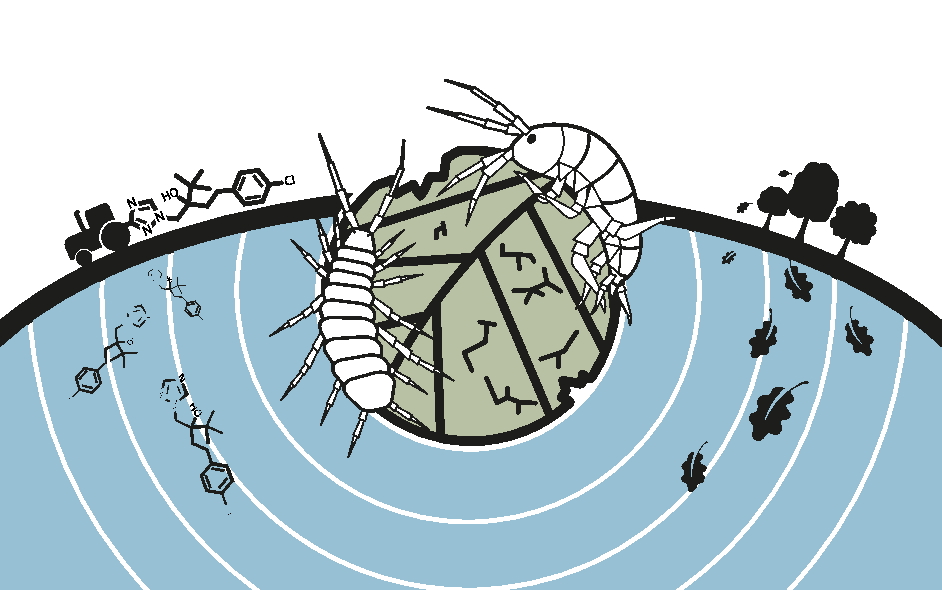 Lövnedbrytning. Illustration.