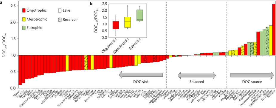 Diagram. Illustration.