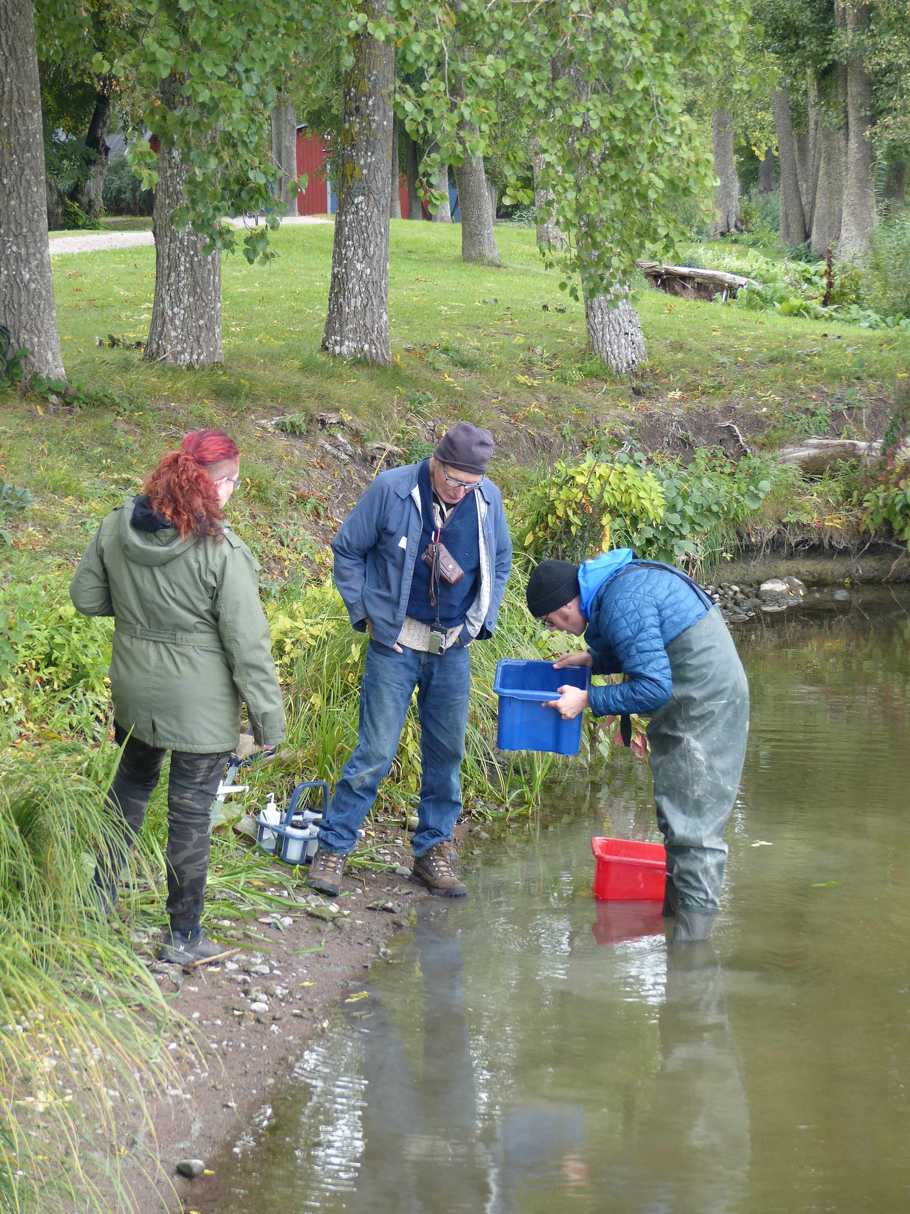Tre personer som provtar i strandkanten. Foto.