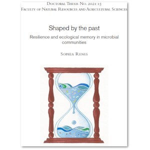 Cover of a thesis.