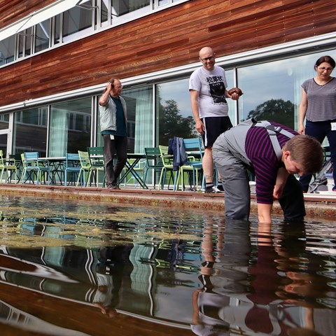 Personer bioblitzar vid damm. Foto.
