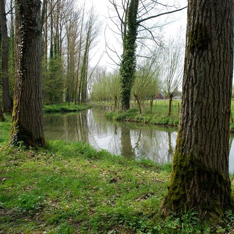 Waterway in a landscape surrounded by trees. Photo.