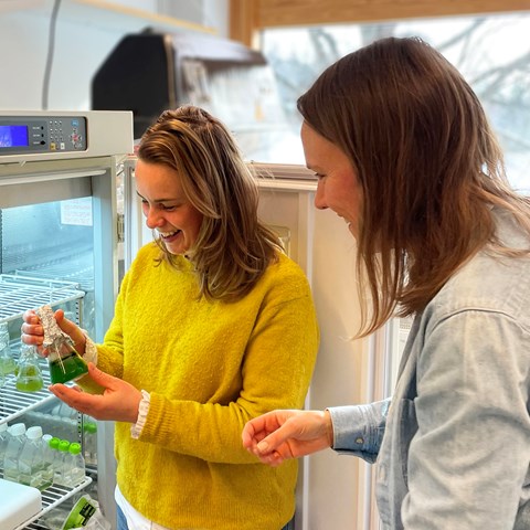 Two women in a lab are looking at a water sample with algae. Photo.