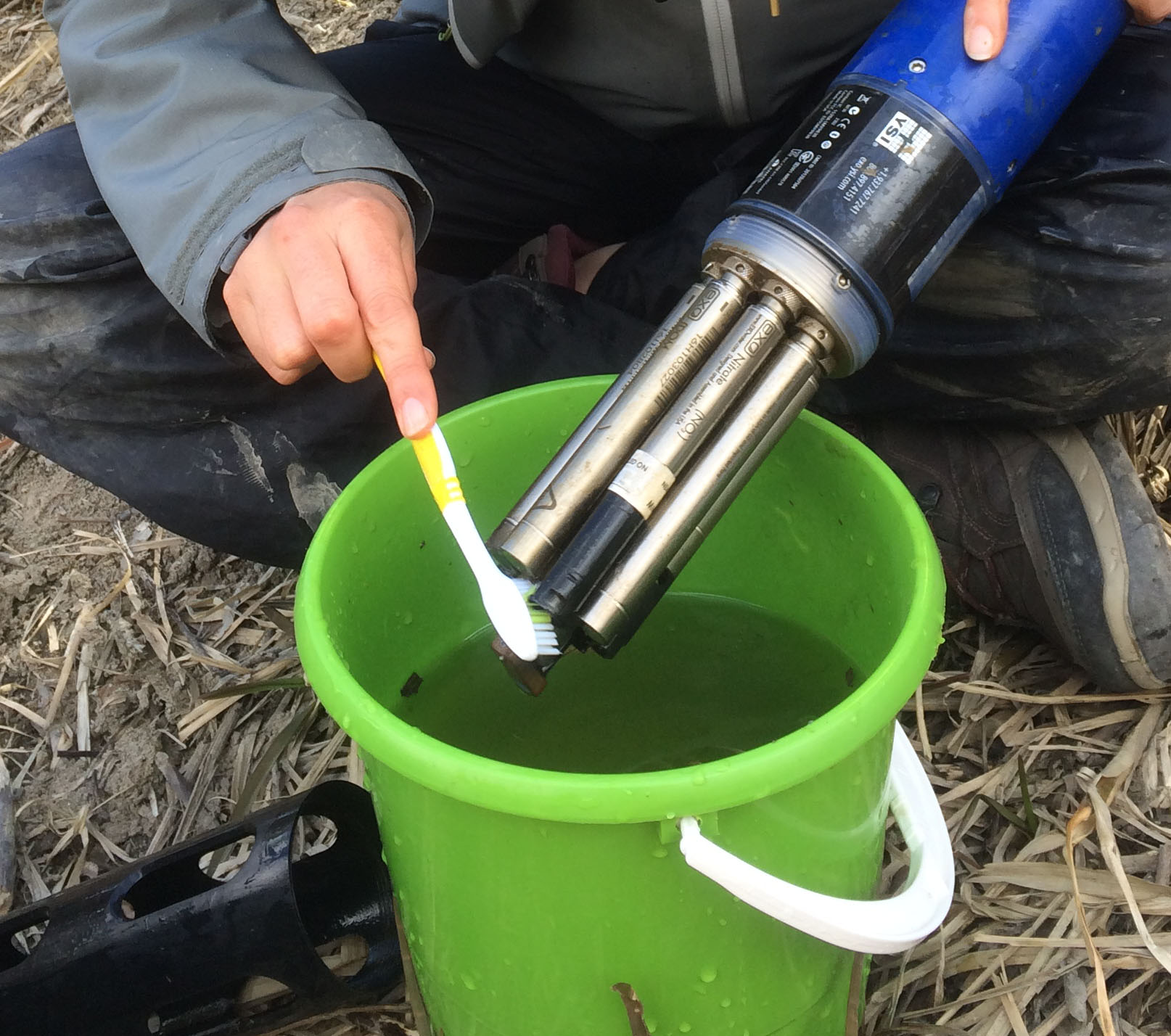 rengör sensor med tandborste. Foto.