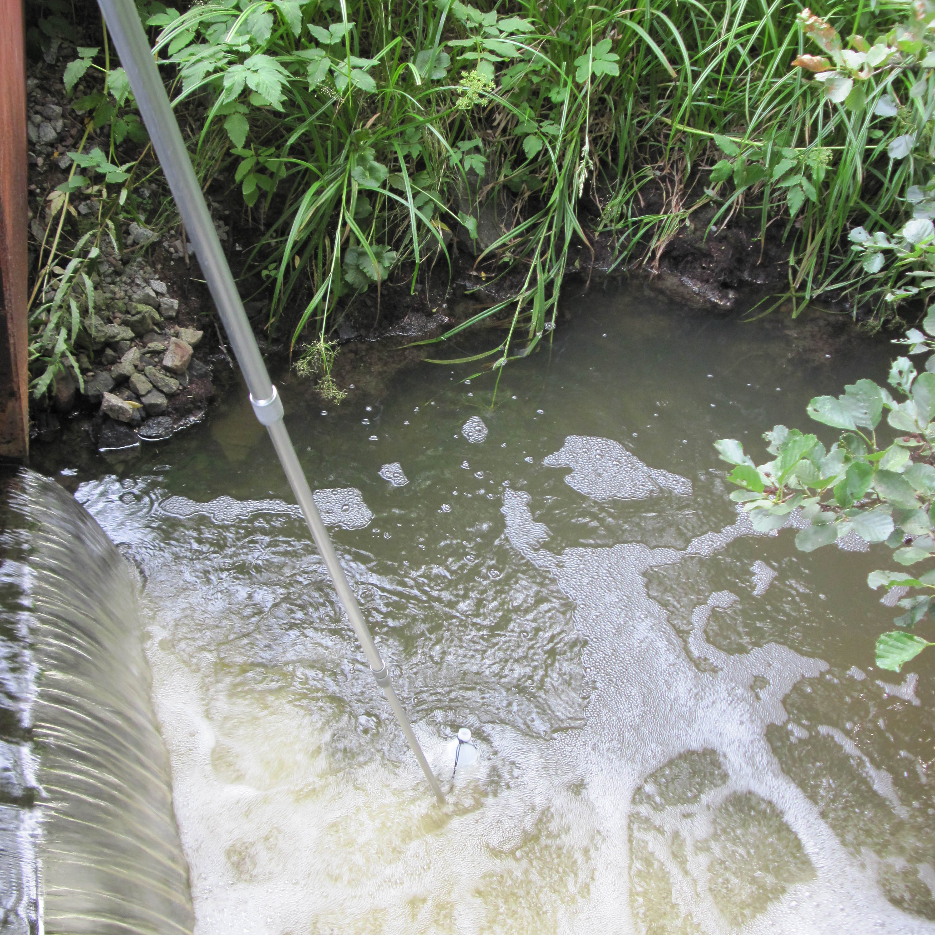 provtagning i grumligt vattendrag. Foto.