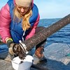 Kvinna tömmer behållare på musslor ombord på en båt. Foto.