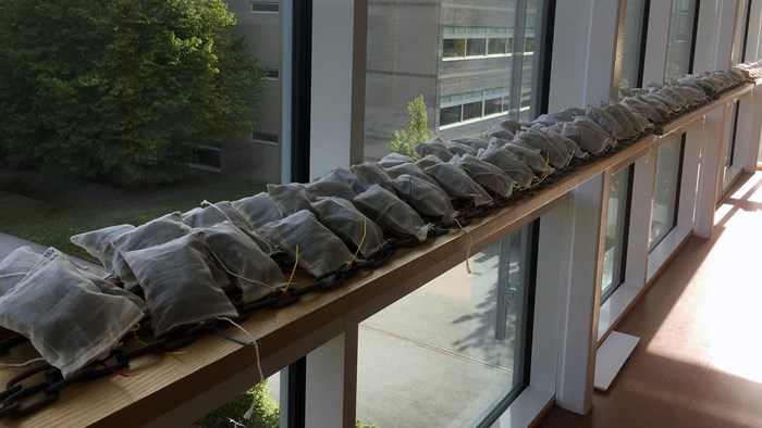 Bags in a row in front of a window. Photo.