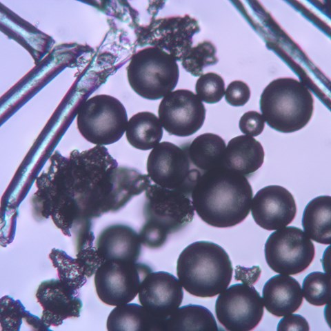 Microplastics different shapes. Microscopic picture.