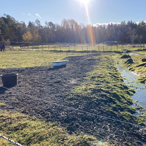 Hästhage med angränsande vattendrag. Foto.