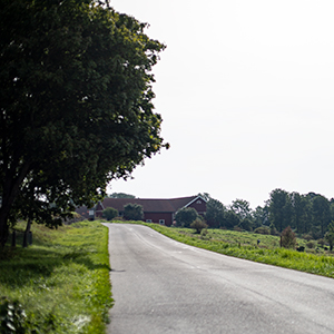 A road leading up to a farmhouse.