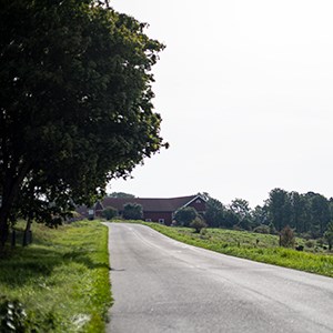 A road leading up to a farmhouse.