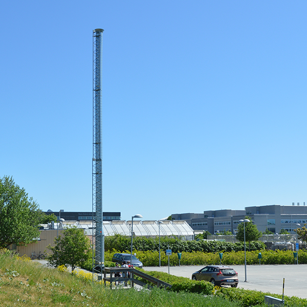 Sugfälla. Högt rör mot blå himmel.