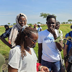 People are standing in a field. In the background there are trees.
