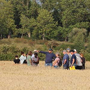 A group of people standing in a cereal field.