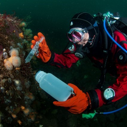Man i dukutrustning under vattnet. Foto