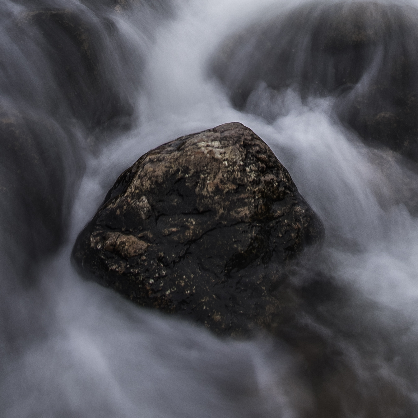 Dagens natur. Foto: Johan Södercrantz