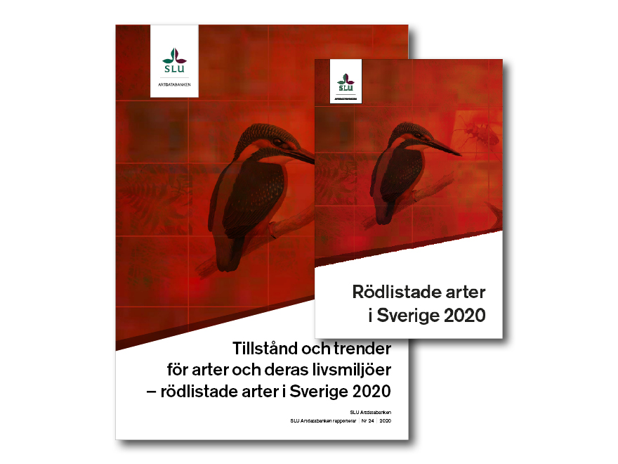 Omslag på en bok och en rapport. Foto