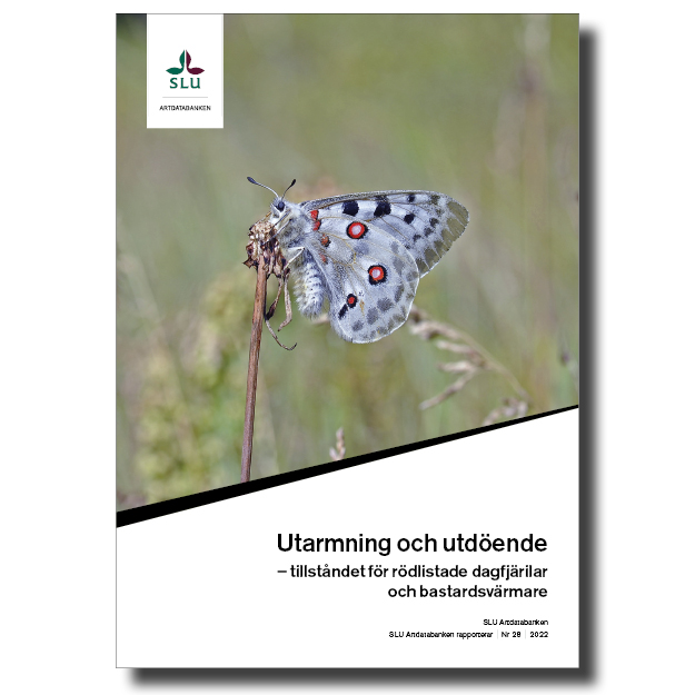 Omslag till rapport om fjärilar. foto